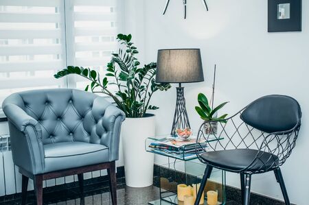 Trends bei Muster und Strukturen: Von klassischen Designs bis zu modernen Statement-Wänden