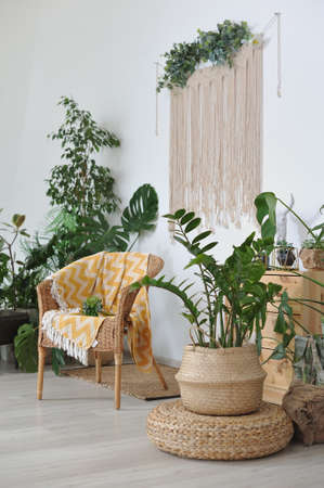 Do-it-yourself-Trends bei Tapeten und Wandfarben in Deutschland: Tipps und Herausforderungen